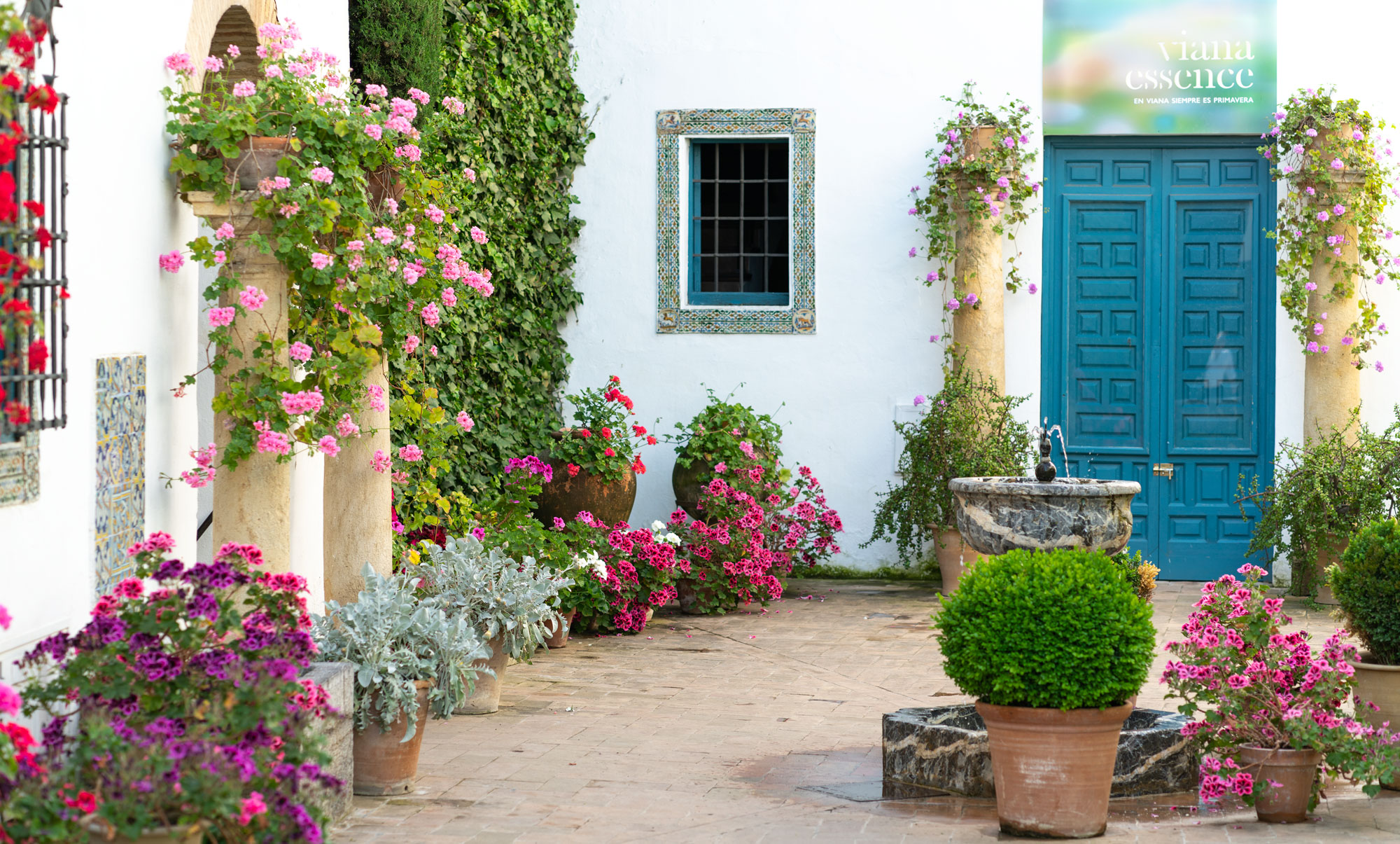 Fleurs colorées et fontaine dans le palais de Viana à Cordoue, en Espagne