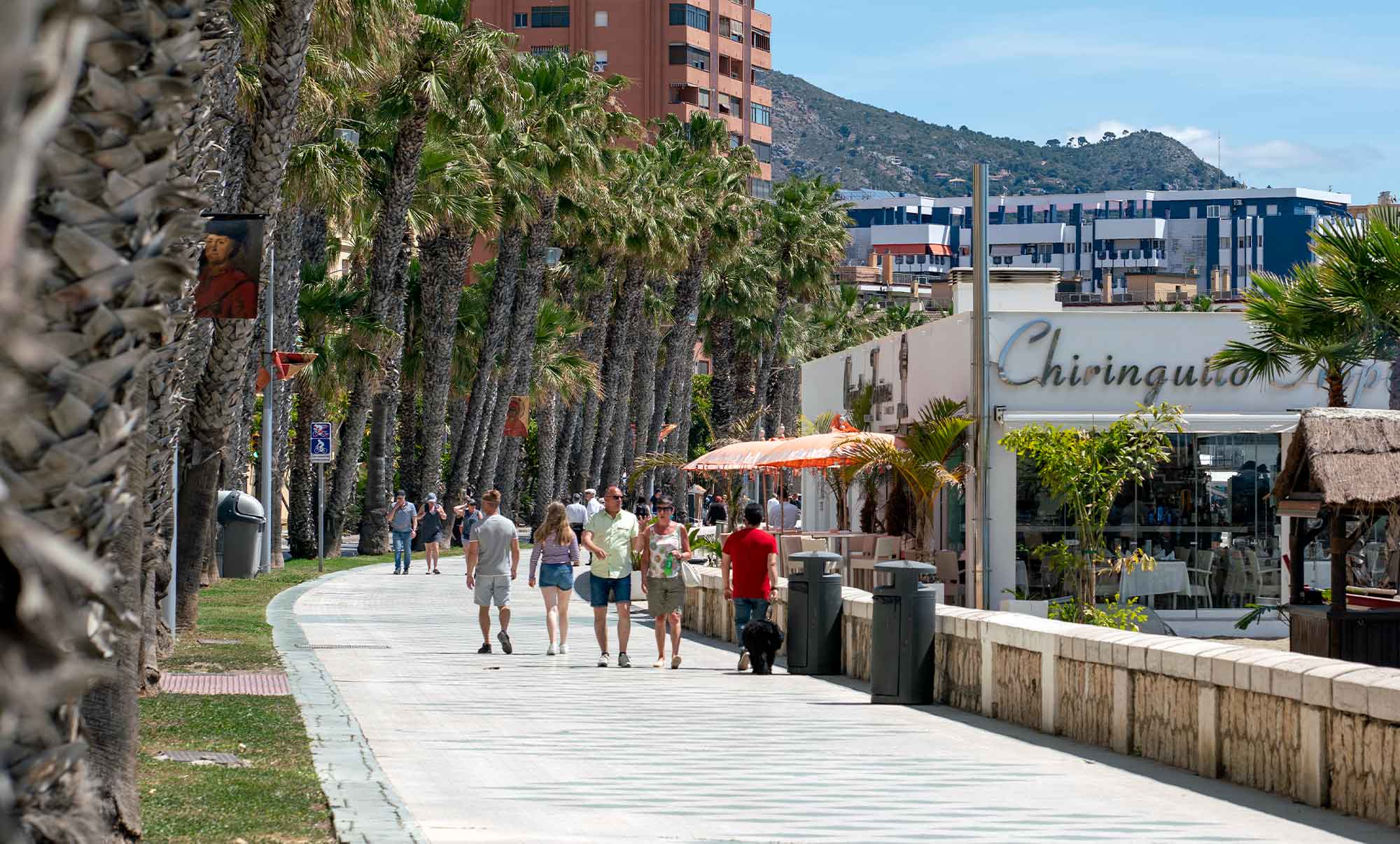 Plage de la Malagueta à Malaga Ce qu’il faut savoir (2025)